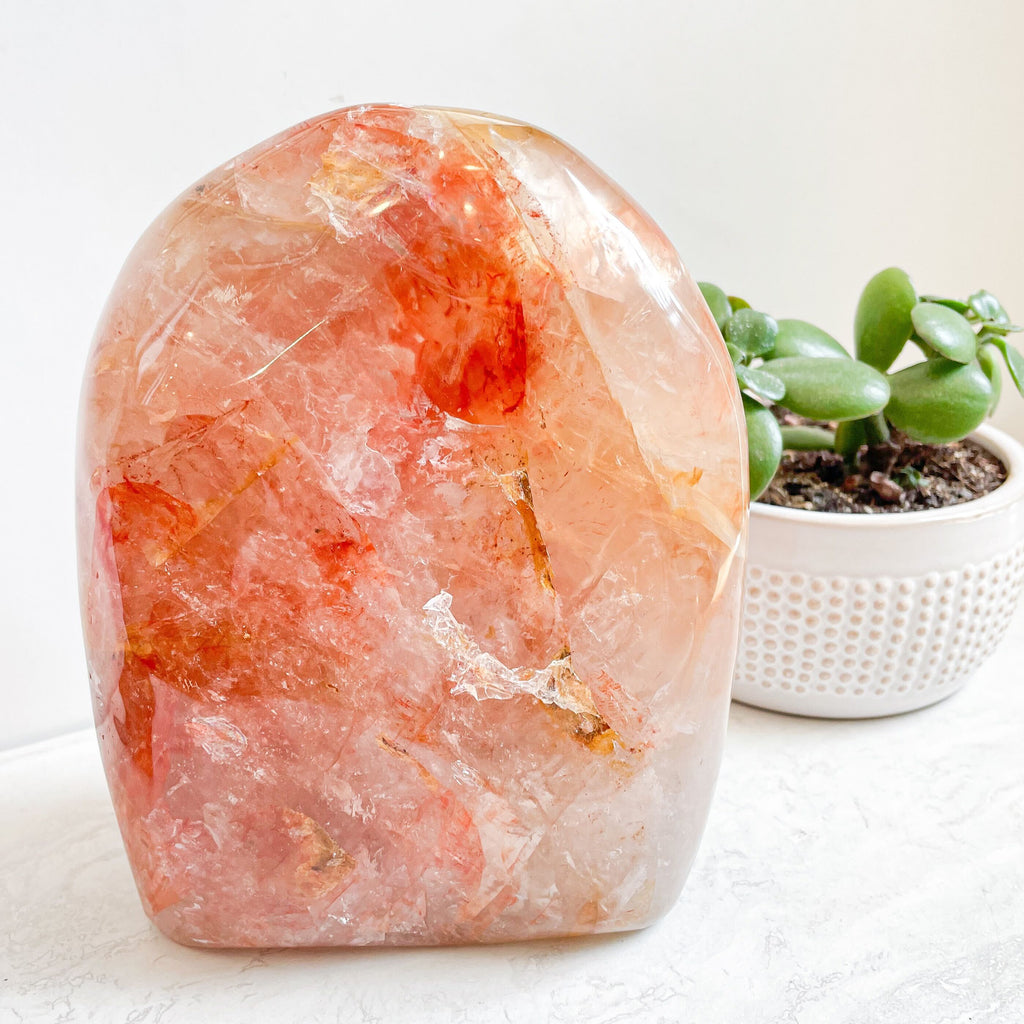 Hematoid | Fire Quartz Free Form 7x5.5"