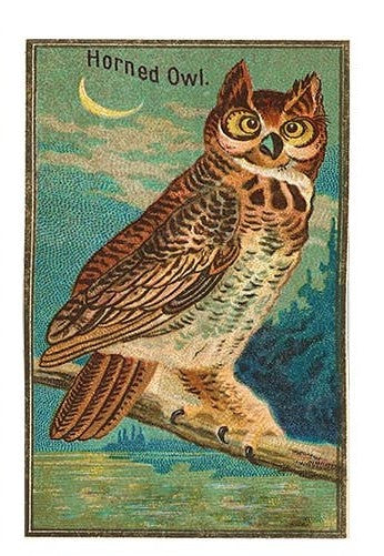 Vintage Owl Mini Matchboxes | Various Designs