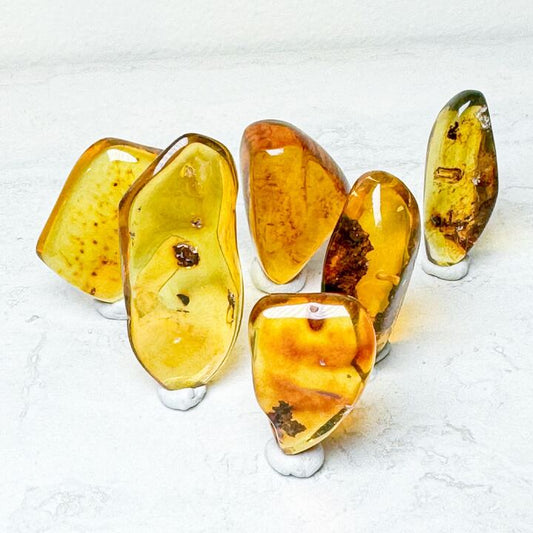 Polished Amber