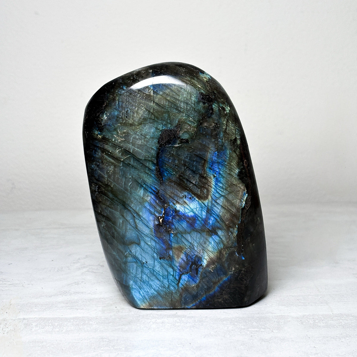 Tall polished labradorite freeform standing upright, dark gray stone with a wide sweep of electric blue and gold flash across the face.