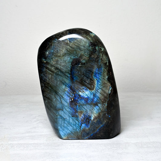 Tall polished labradorite freeform standing upright, dark gray stone with a wide sweep of electric blue and gold flash across the face.