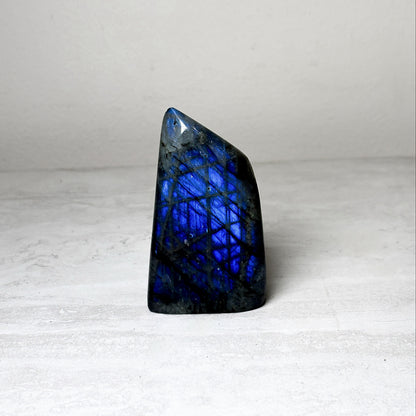 Wedge-shaped labradorite freeform with deep royal blue flash filling most of the polished face, standing on a pale stone surface.