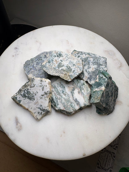 Top Polished Tree Agate