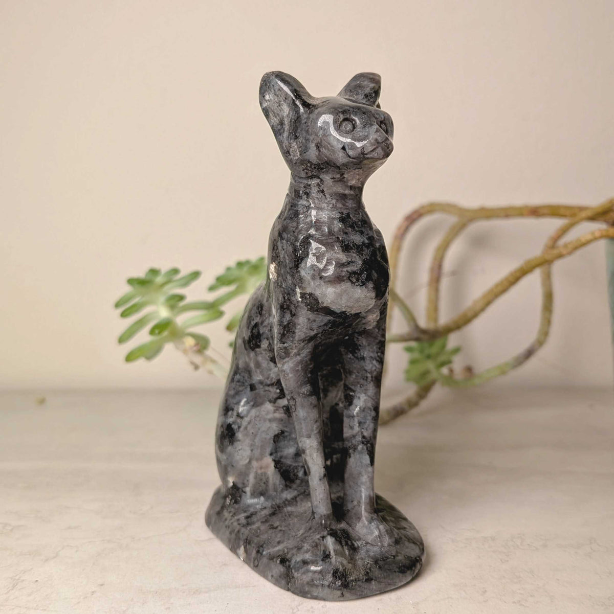 Carved crystal cat figures in larvikite and yooperlite, third view, at Ordinary Magic in Savannah, GA.