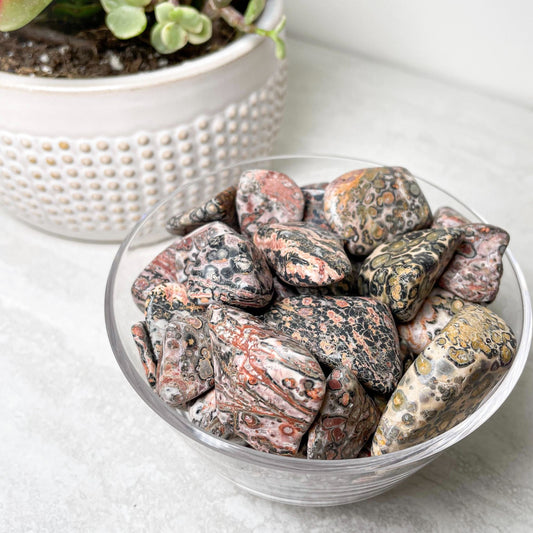 Leopard Skin Jasper Tumbles