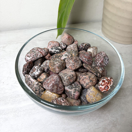 Leopard Skin Jasper Tumble