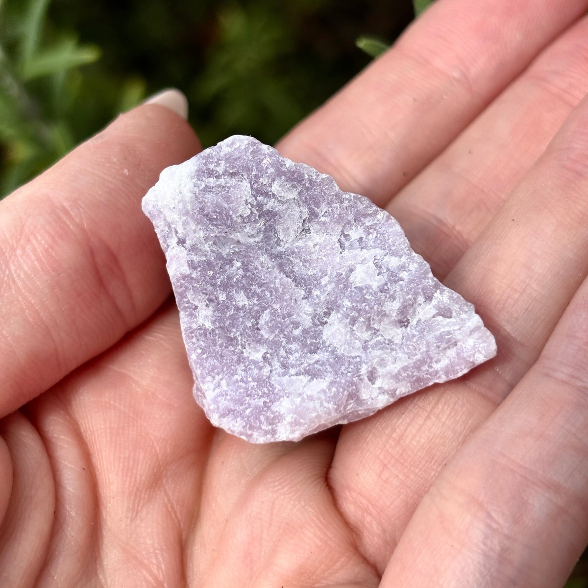 Raw Crystal Magnets | Variants