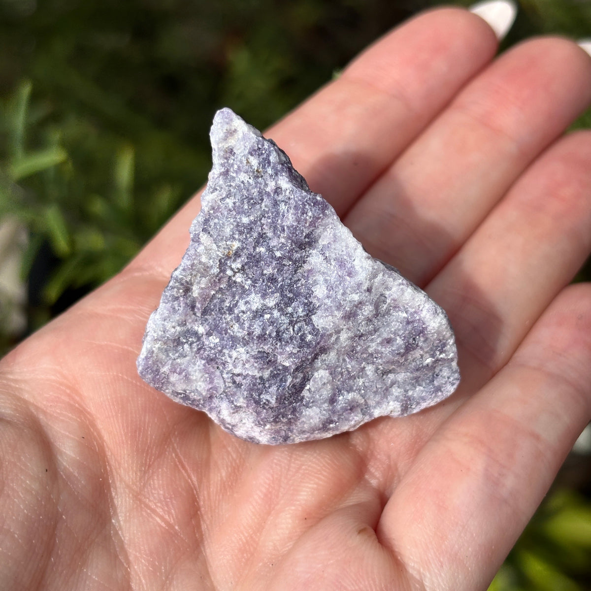 Raw Crystal Magnets | Variants