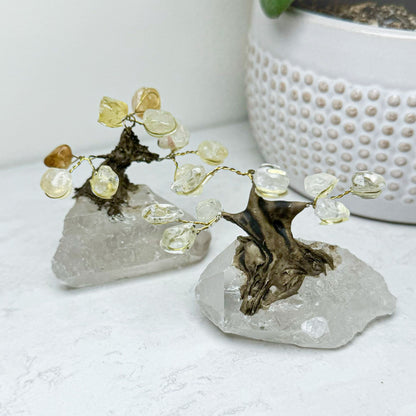 Crystal Bonsai Trees with Quartz Base | Various Stones