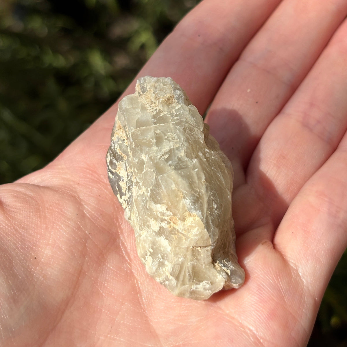 Raw Crystal Magnets | Variants