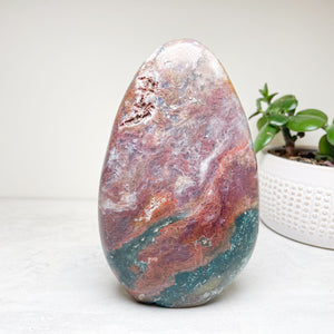 Ocean Jasper Free Forms | Various Sizes