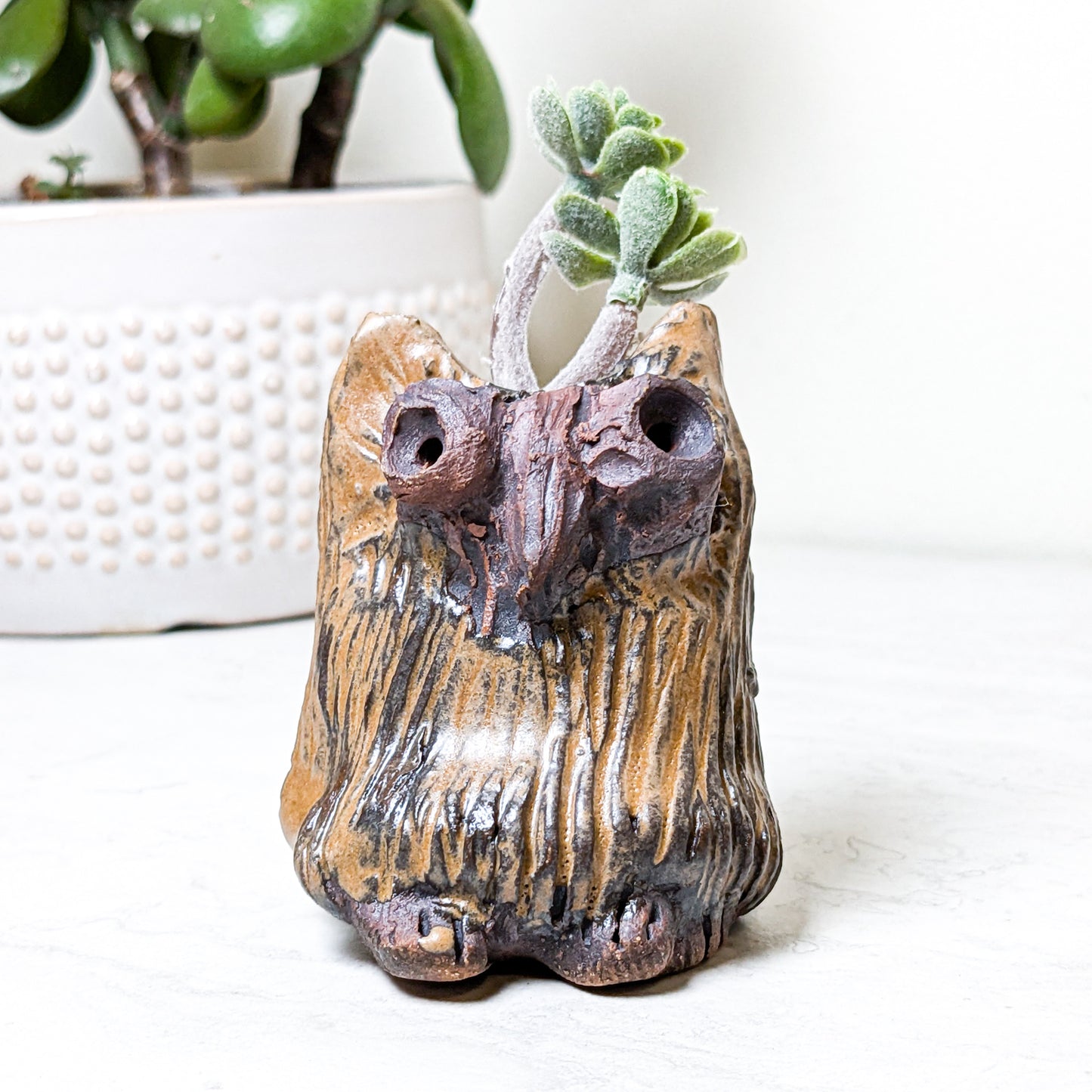 Wise Owl Incense Burner