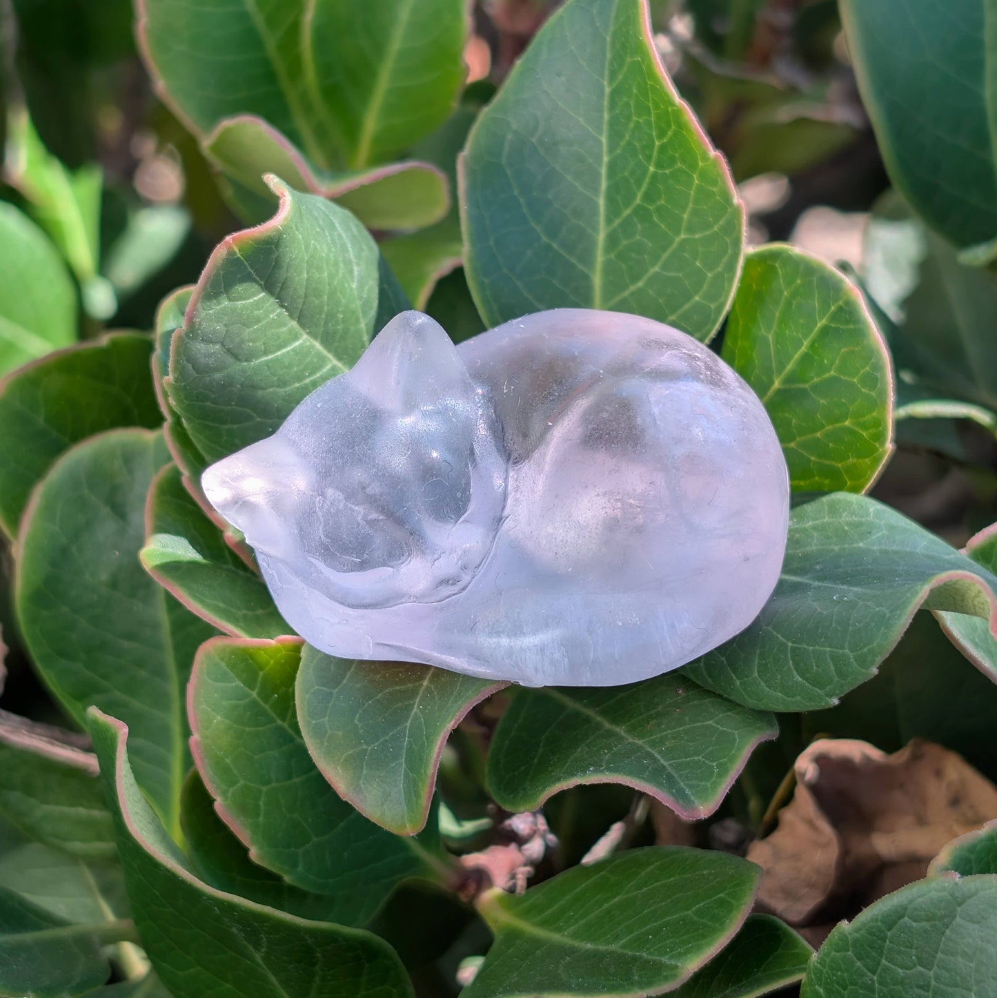 Fluorite Sleeping Cats