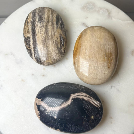 Petrified Wood Palmstones