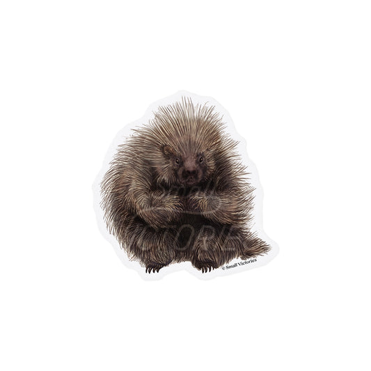 Porcupine Eco-Sticker