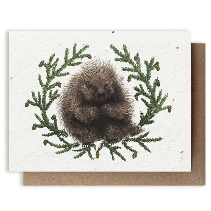 Plantable Wildflower Seed Cards | Various Designs