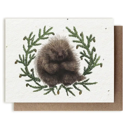 Plantable Wildflower Seed Cards | Various Designs