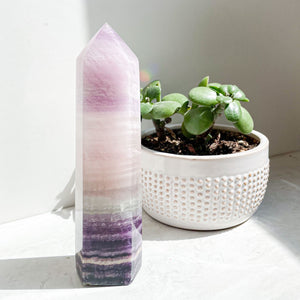 Rainbow Fluorite Standing Points | Various Sizes