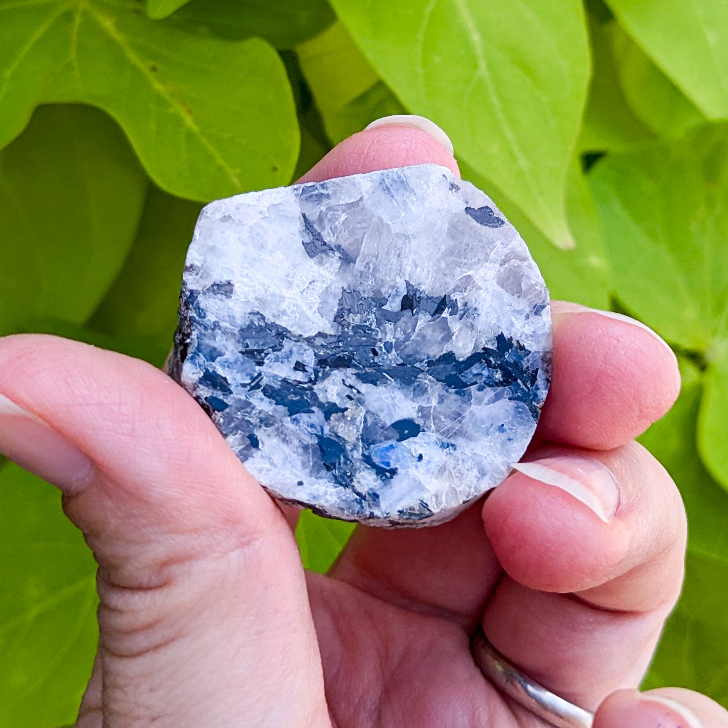Rainbow Moonstone Slice 1/2 Polished 2-3"