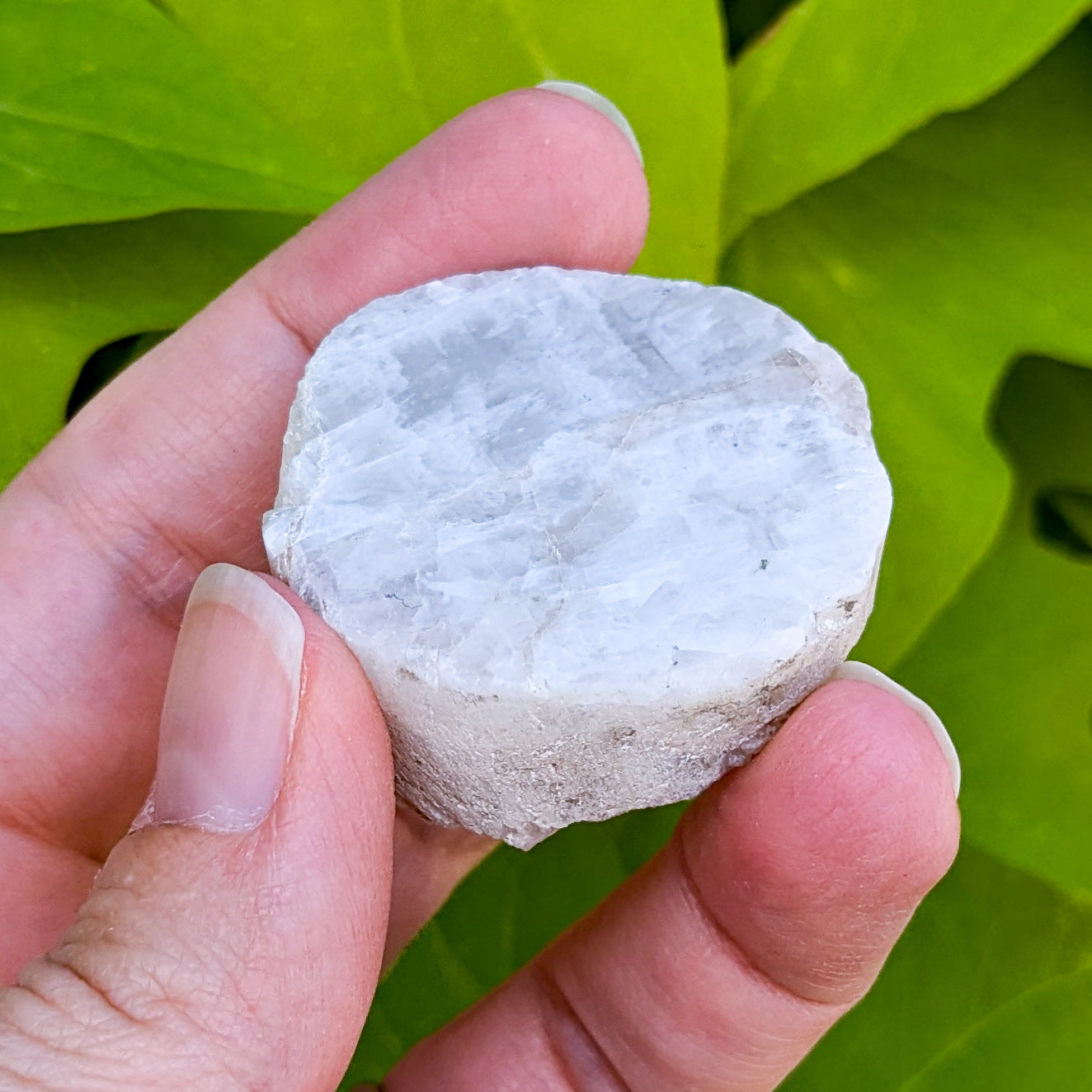 Rainbow Moonstone Slice 1/2 Polished 2-3"