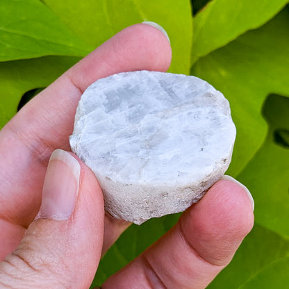 Rainbow Moonstone Slice 1/2 Polished 2-3"