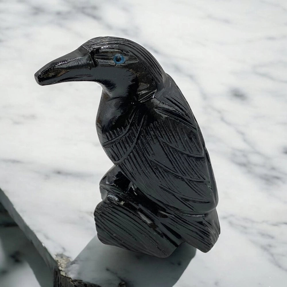 Black Onyx Raven