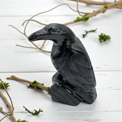 Black Onyx Raven