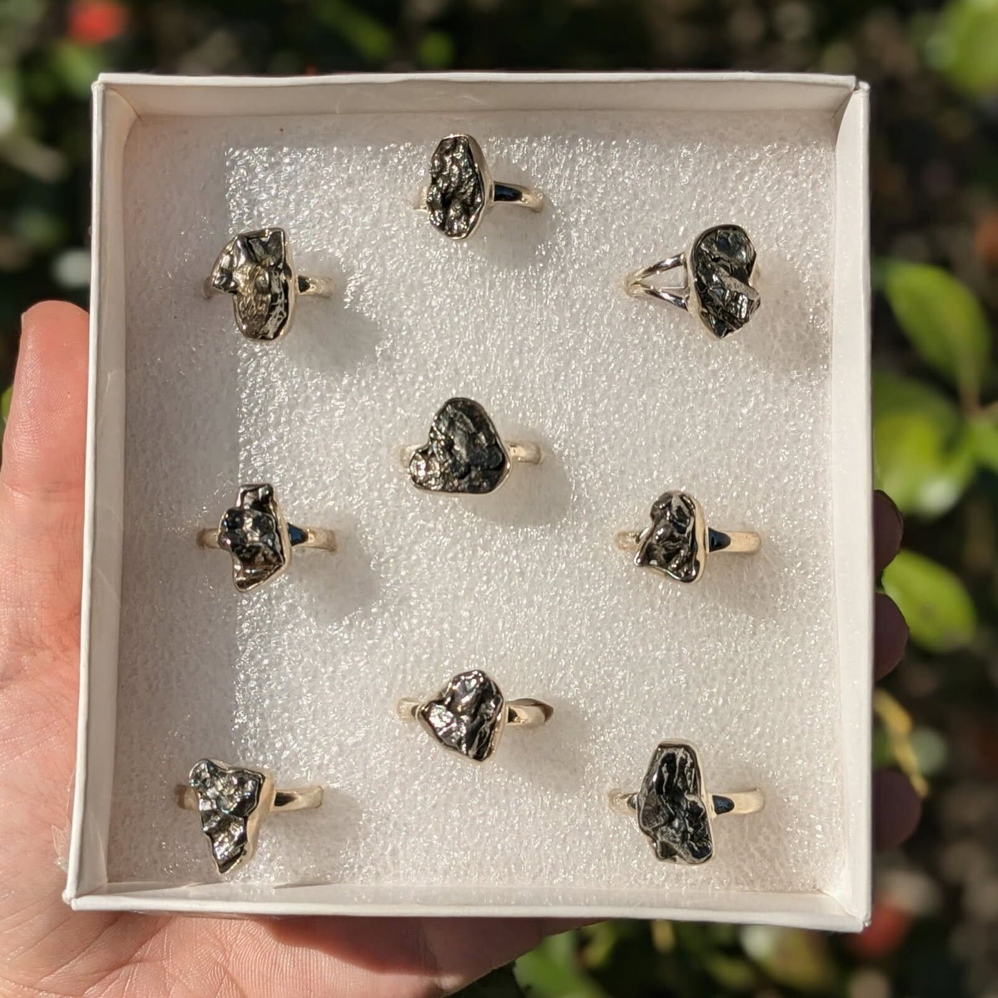 Meteorite Campo Del Cielo Rings