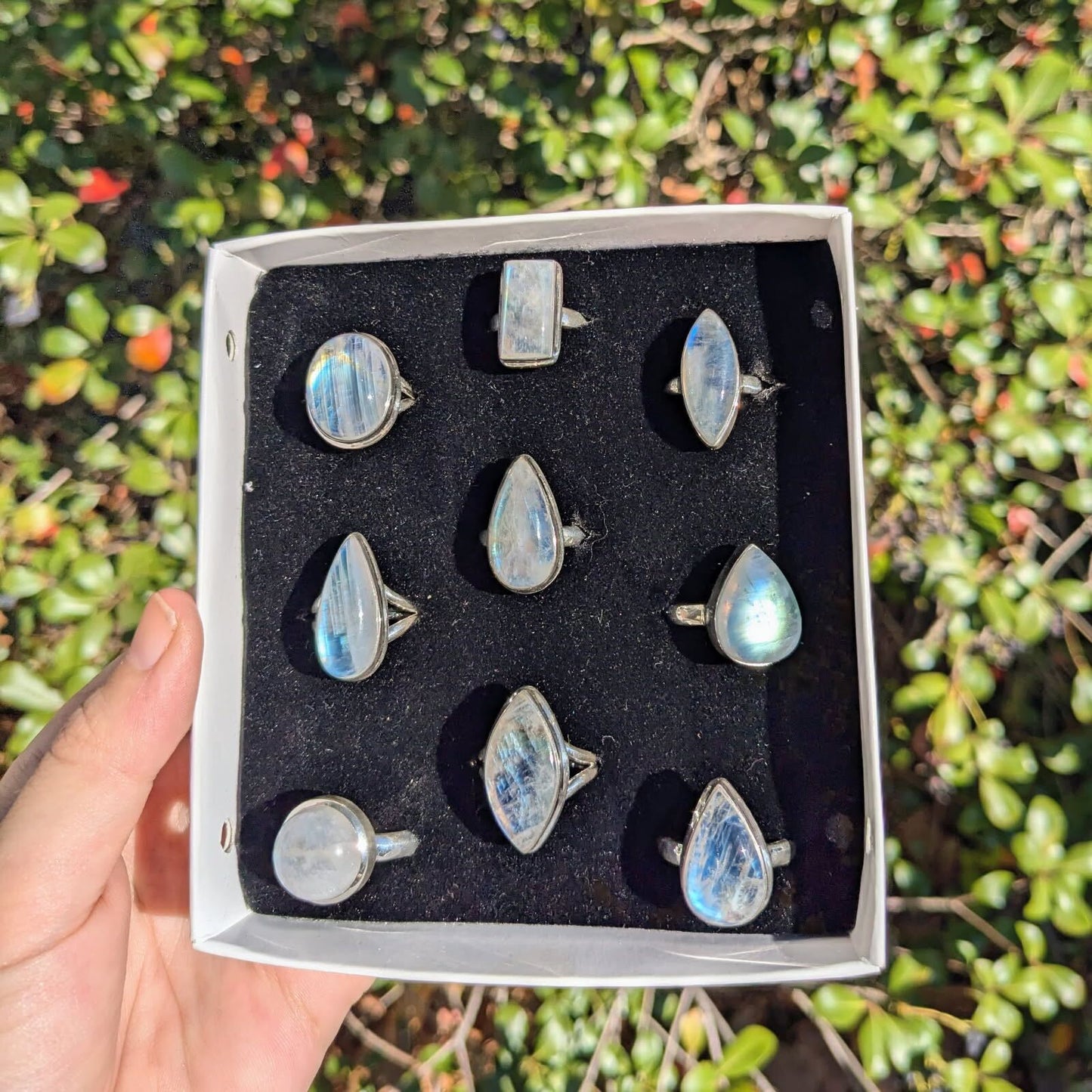 Rainbow Moonstone Rings