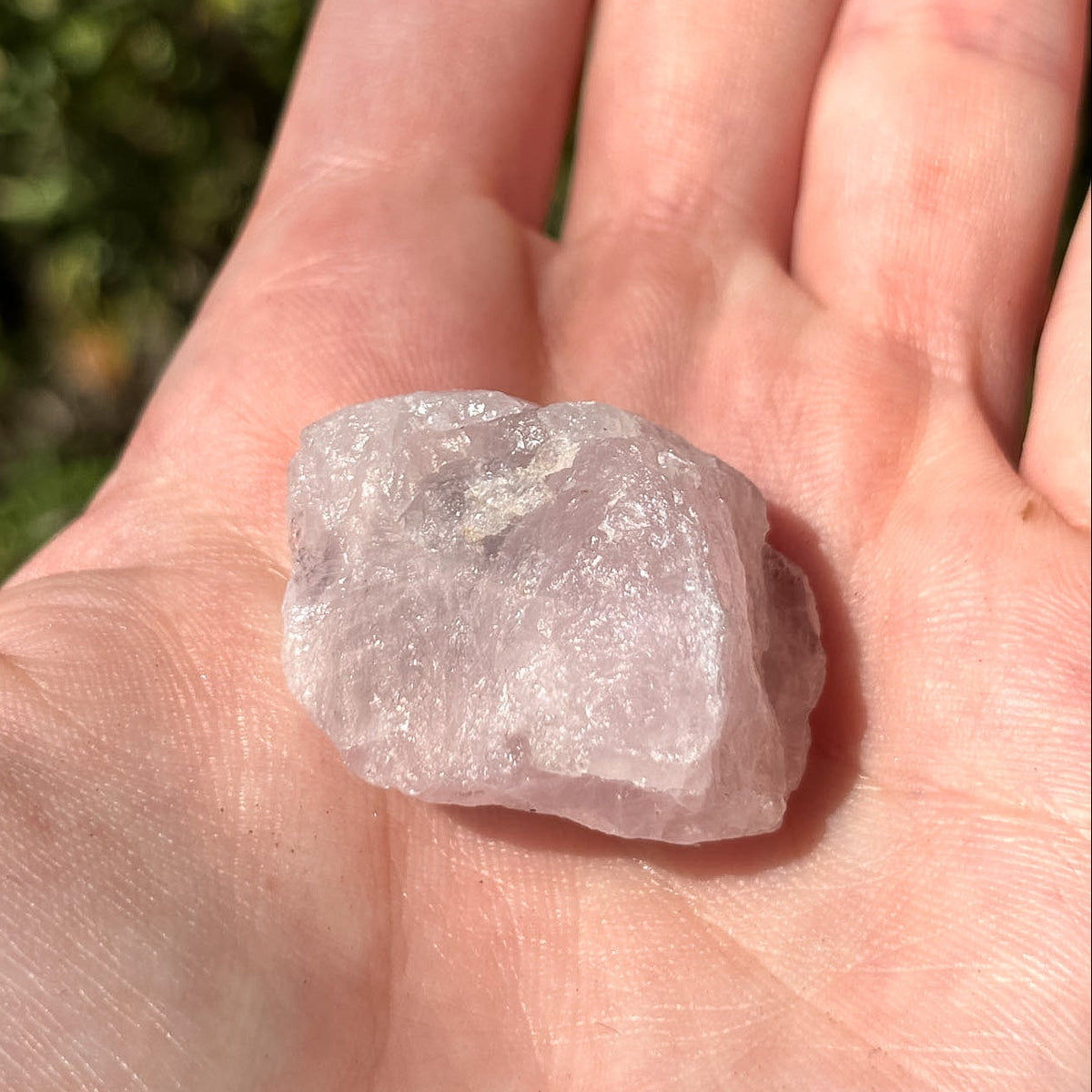 Raw Crystal Magnets | Variants