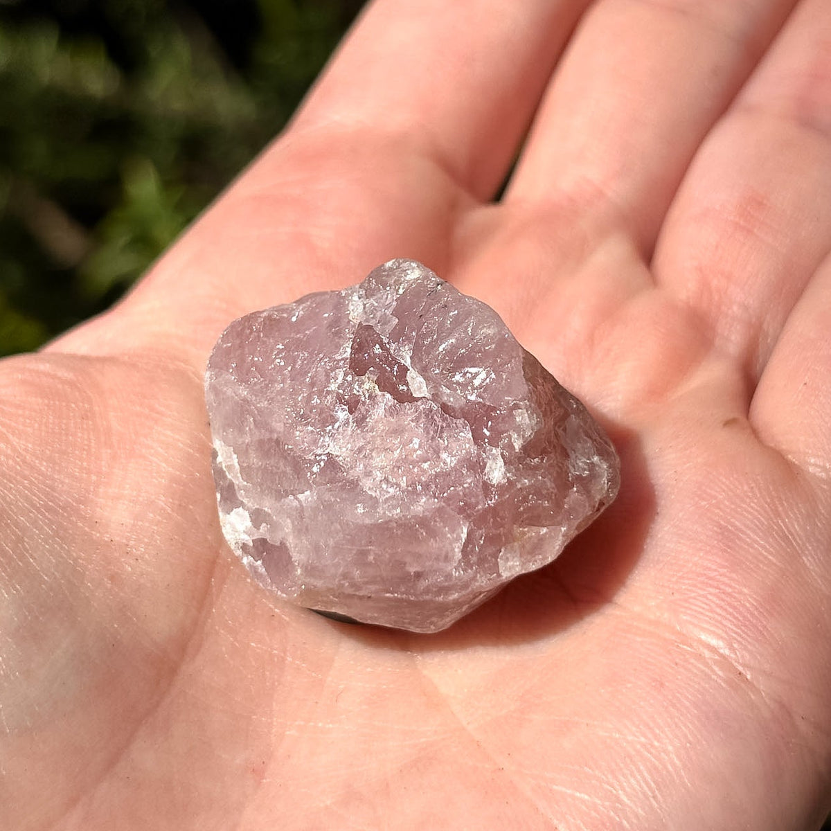 Raw Crystal Magnets | Variants