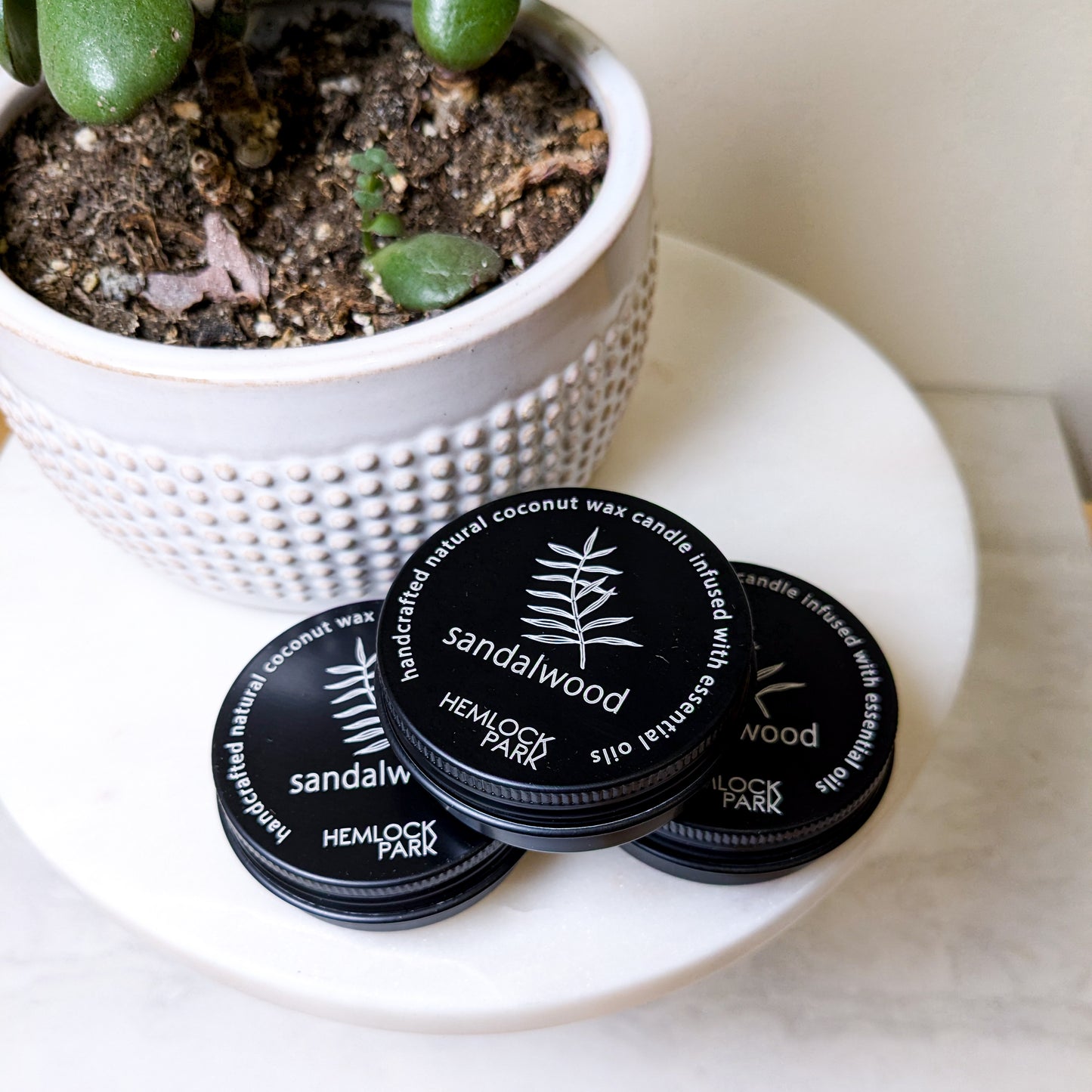 Hemlock Park Tea Light Candle