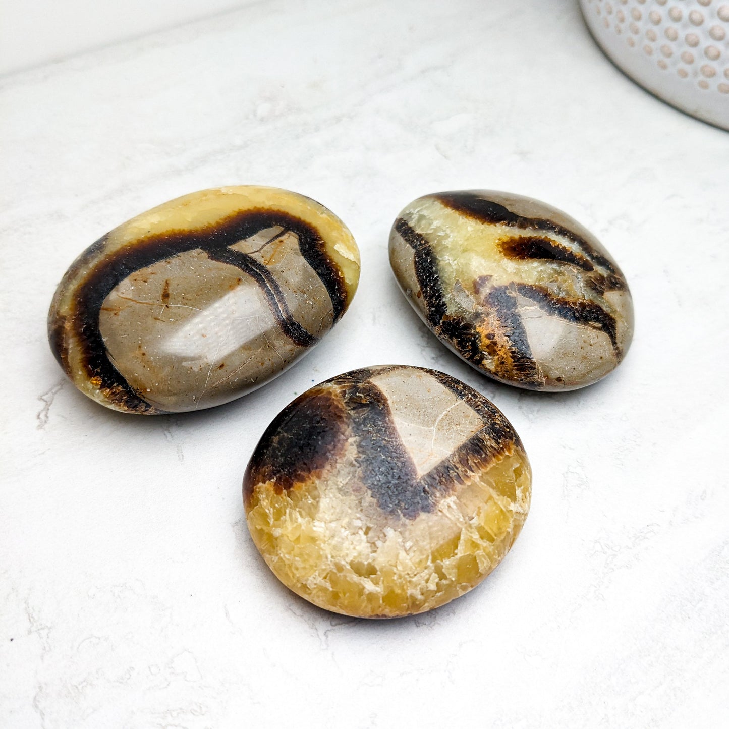 Septarian Nodule Palmstones