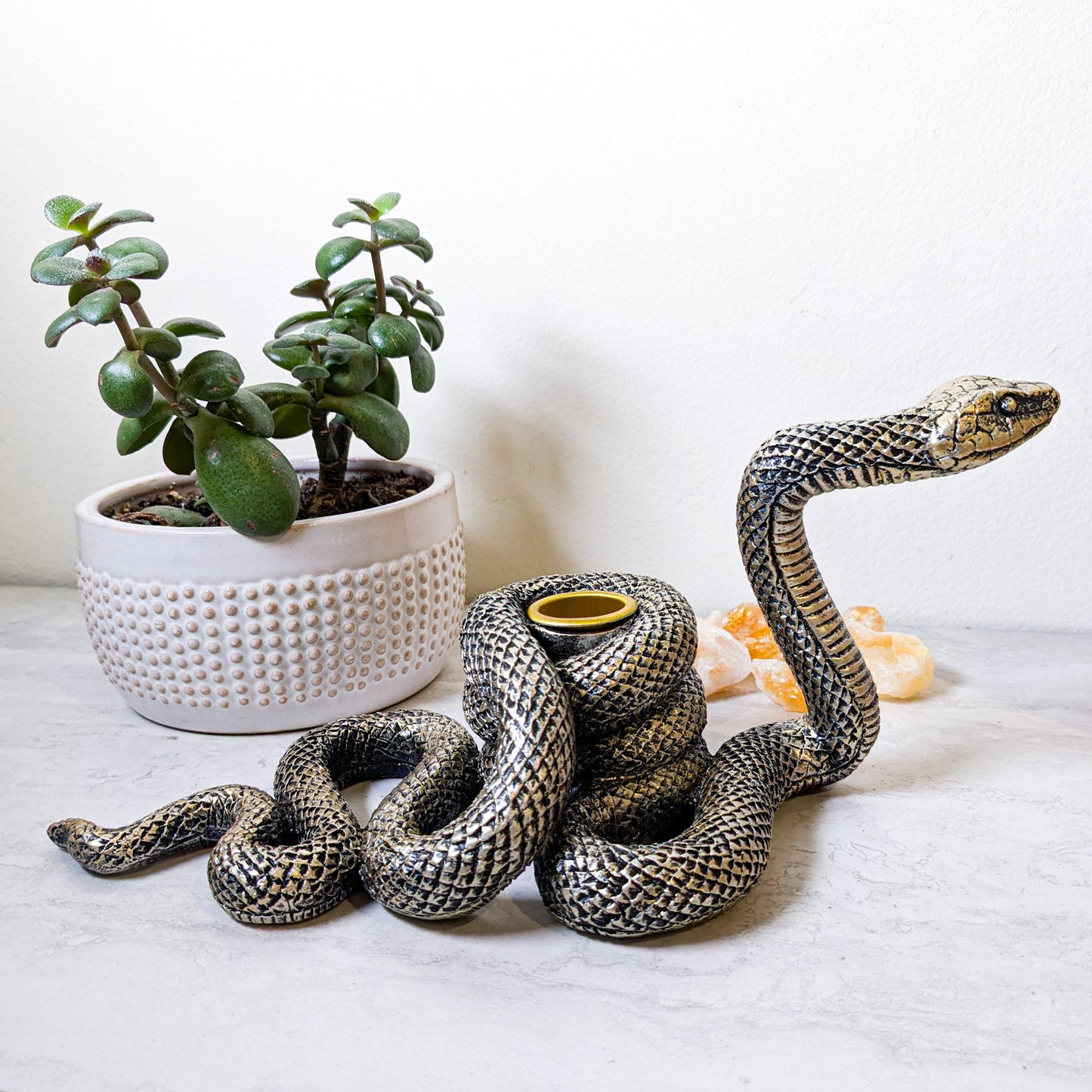 Dramatic Serpent Candle Holder