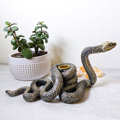 Dramatic Serpent Candle Holder