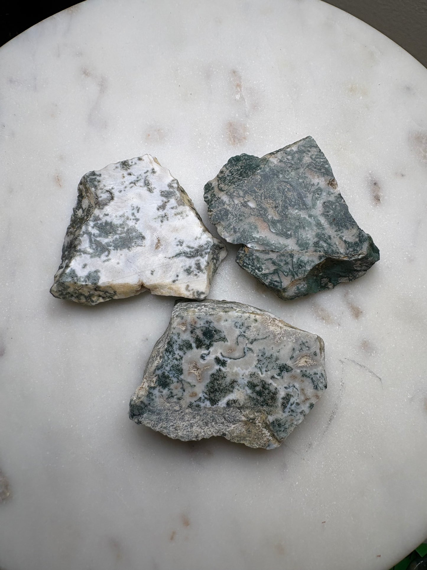 Top Polished Tree Agate