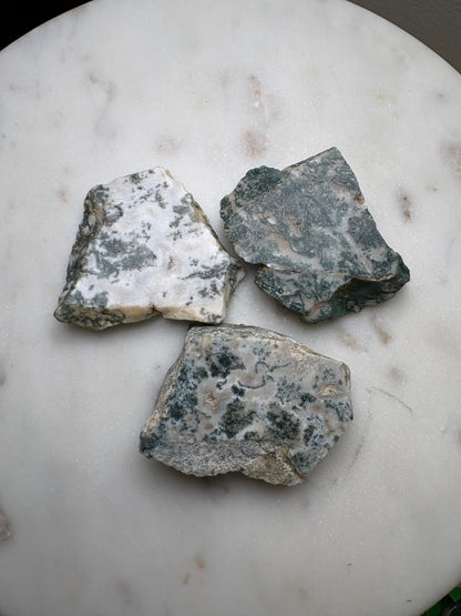 Top Polished Tree Agate