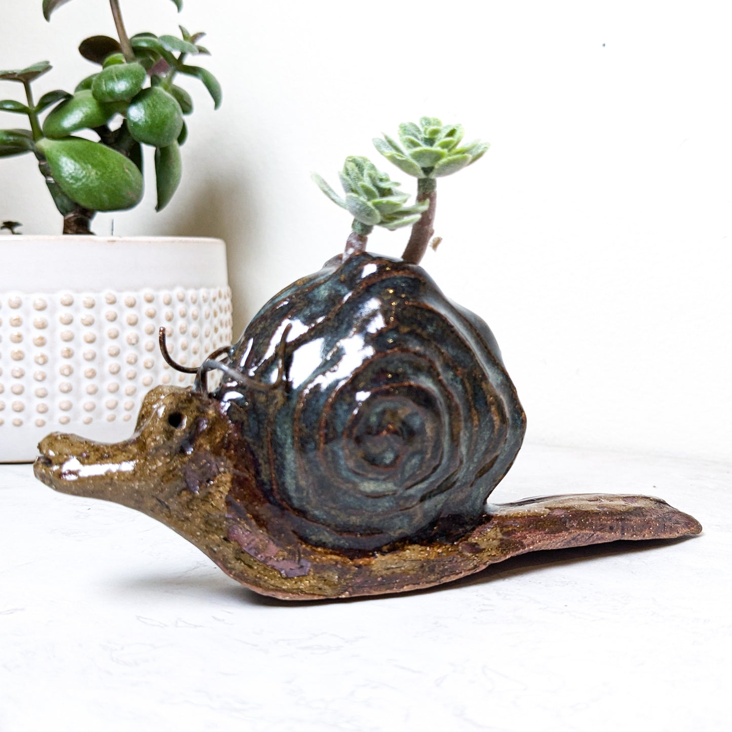 Slow Snail Incense Burner | Local Artist