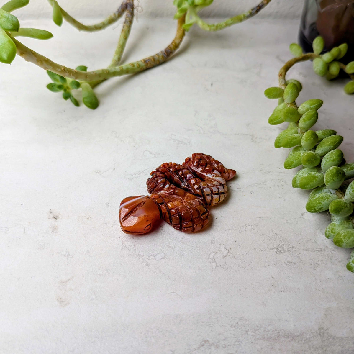 Carved crystal snake figure in sardonyx, at Ordinary Magic in Savannah, GA.
