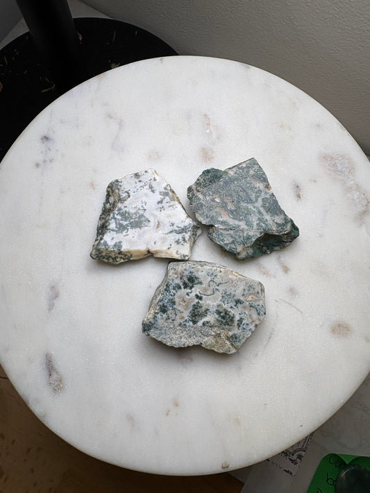 Top Polished Tree Agate