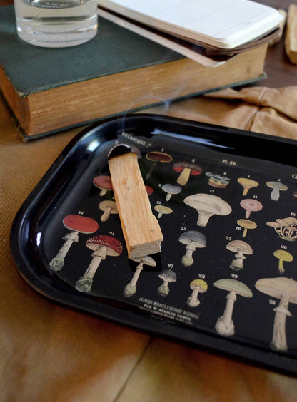 Small Metal Black Mushroom Ritual Tray / Rolling Tray