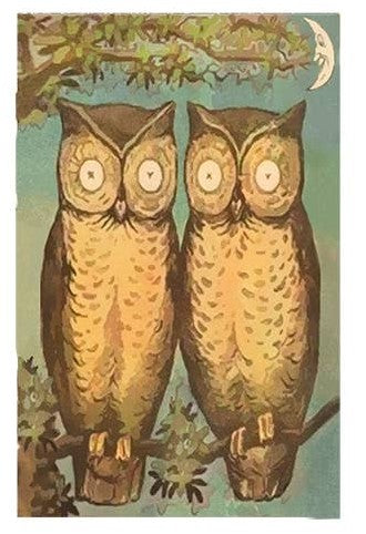 Vintage Owl Mini Matchboxes | Various Designs