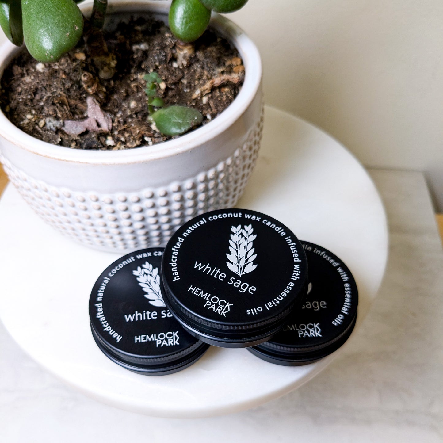 Hemlock Park Tea Light Candle