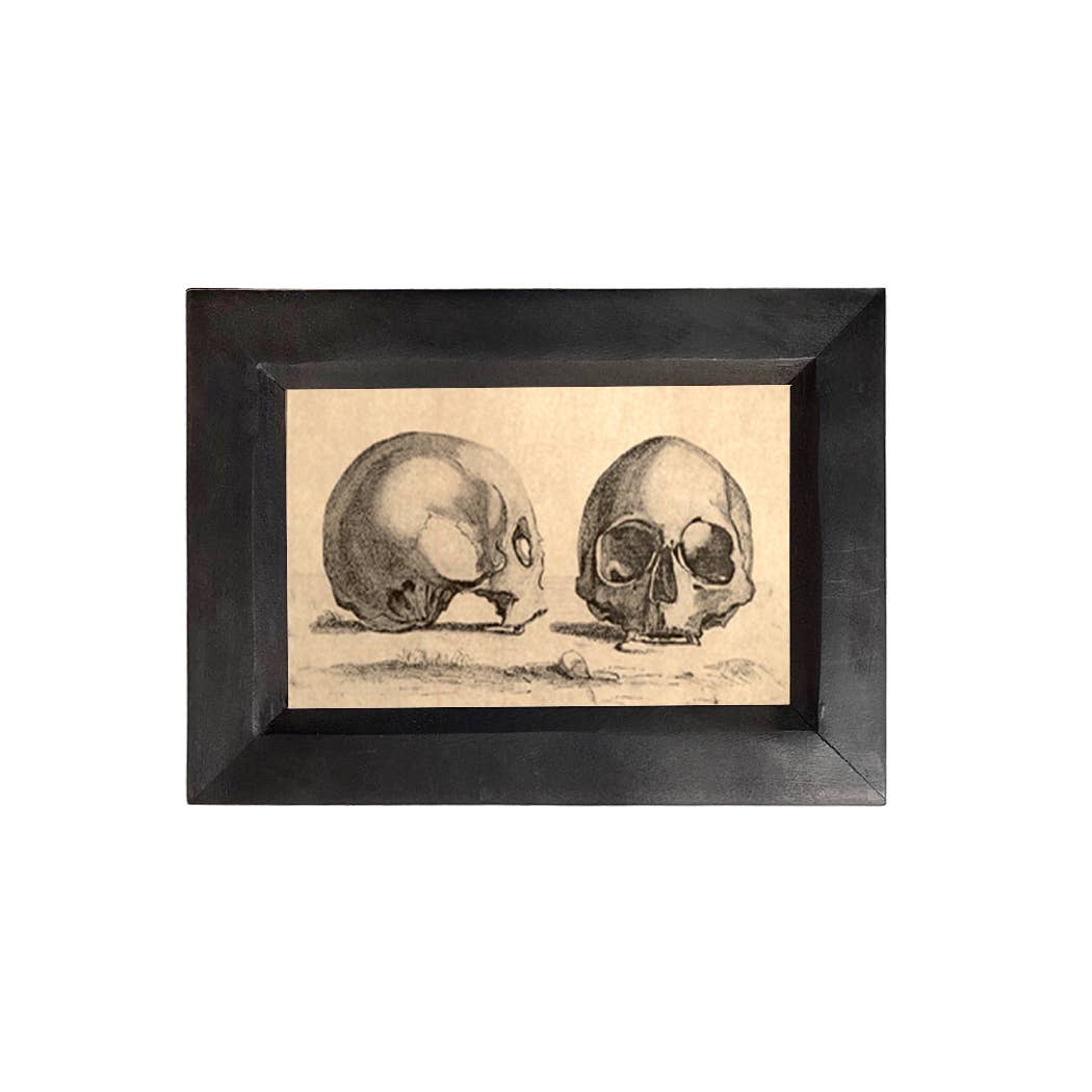 Pair of Skulls Print Behind Glass, Black Frame