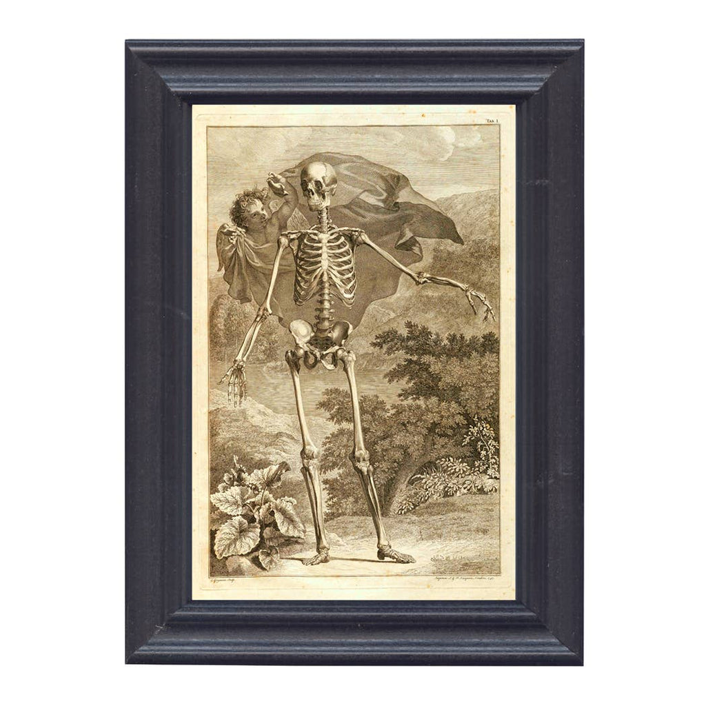 Skeleton & Angel Print Behind Glass in Solid Wood Frame