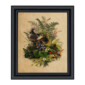 Birds in Nest Cottagecore Framed Reproduction Print: 8" x 10"