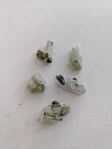 Green Tourmaline on Quartz Specimen - Various Sizes