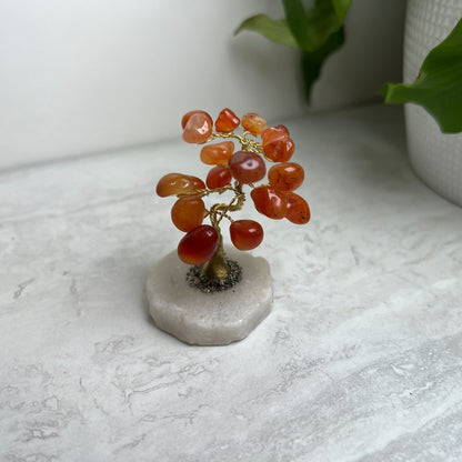 Crystal Bonsai Trees | Various Semi-Precious Stones