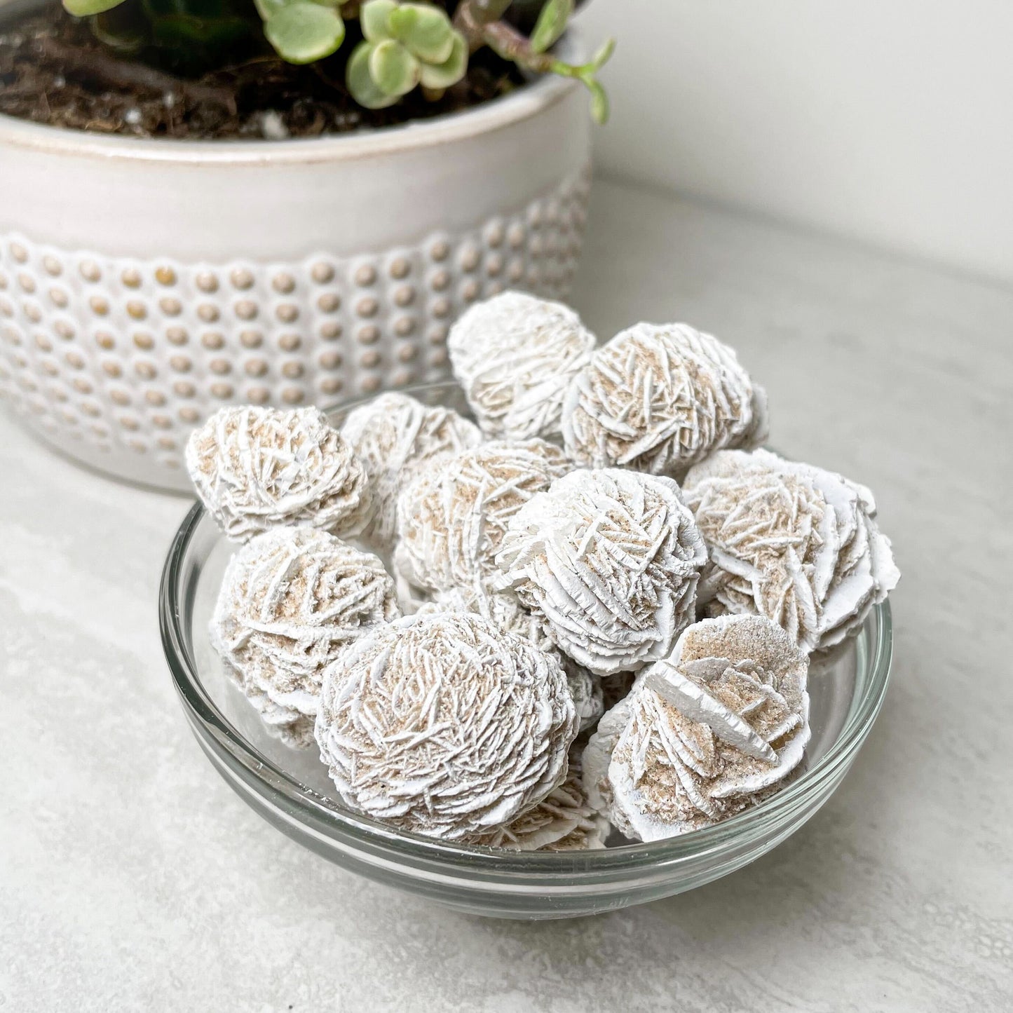 Desert Rose | Various Sizes