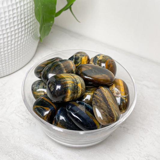 Hawk's Eye (Blue Tigers Eye) Tumbles
